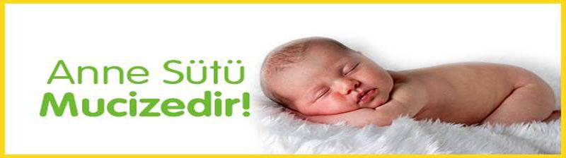 ANNE SÜTÜ VE ÖNEMİ