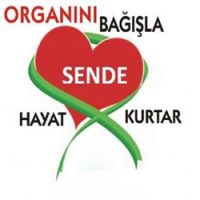 asd